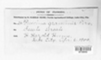 Image Associated With the Occurence